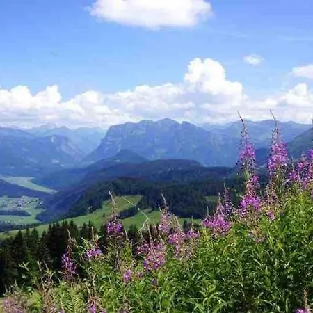 Rosenhaus 1 アパート *